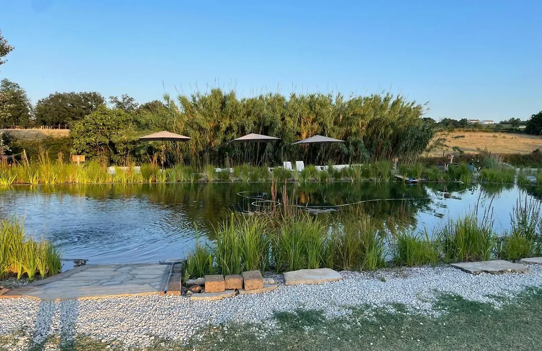 La Siba Experience-1